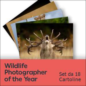 Set da 18 Cartoline, Wildlife Photographer of the Year 2025