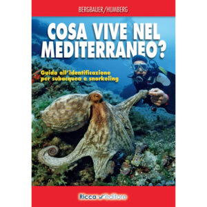 Cosa vive nel Mediterraneo? Guida all'identificazione per subacquea e snorkeling
