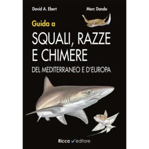 Guida a squali, razze e chimere del Mediterraneo e d'Europa