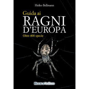 Guida ai ragni d'Europa