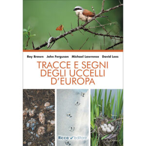 Tracce e segni degli uccelli d'Europa