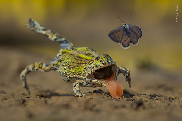 © Jens Cullmann 600x400