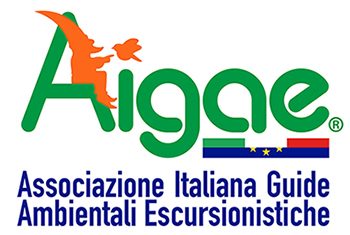 Logo AIGAE - versione B vettoriale