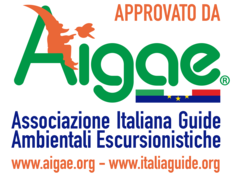 Approvato da AIGAE (scritta blu)