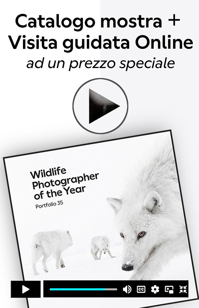 Banner Visita guidata + Catalogo per homepage 2025-26 verticale