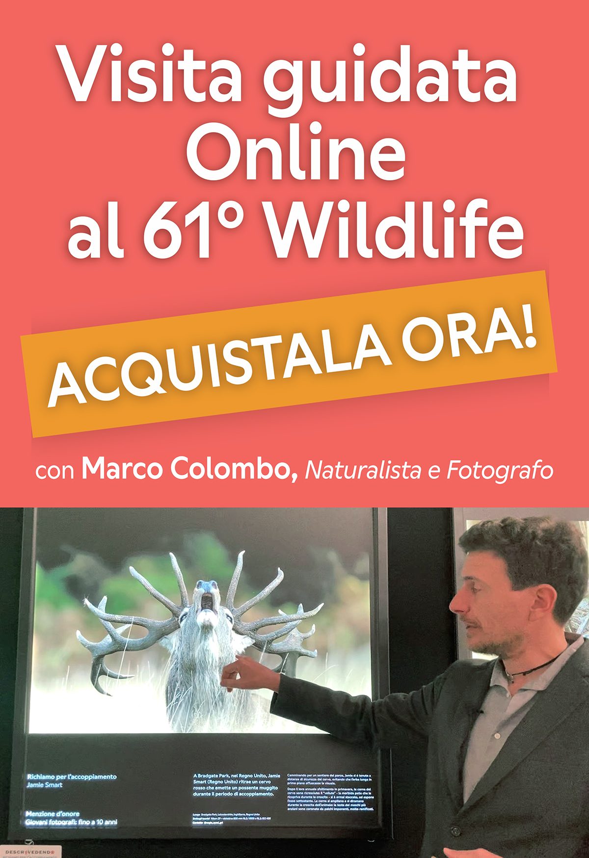 Banner Visita guidata Online Acquistala ora 1200x1748 pixel