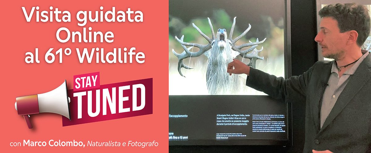 Banner Visita guidata Online orizzontale 1200x495 pixel