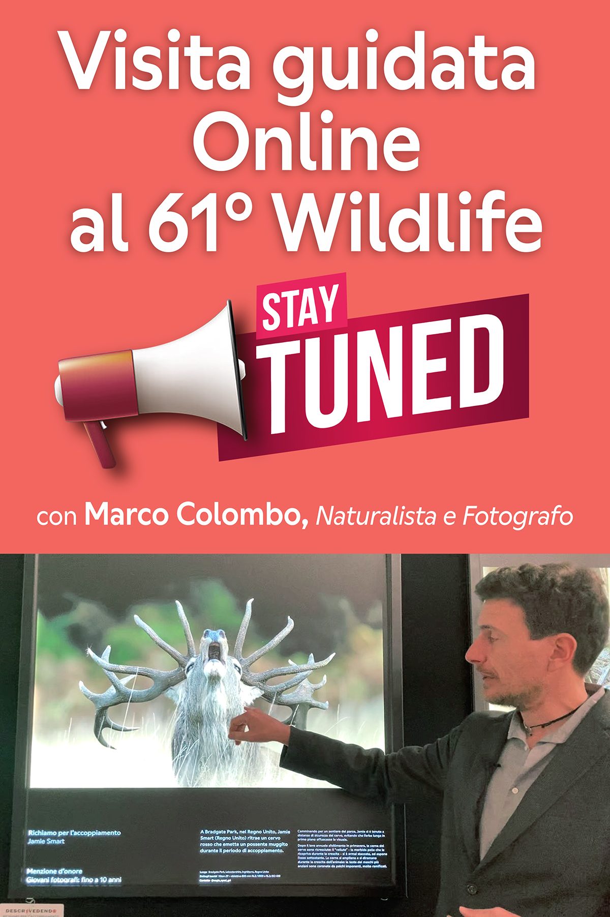 Banner Visita guidata Online verticale 1200x1803