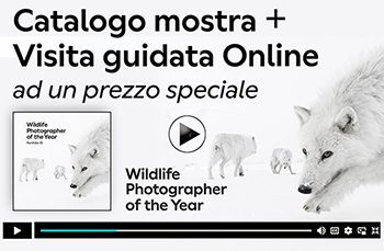 Banner orizzontale Catalogo + Visita guidata 2025-26 piccolino
