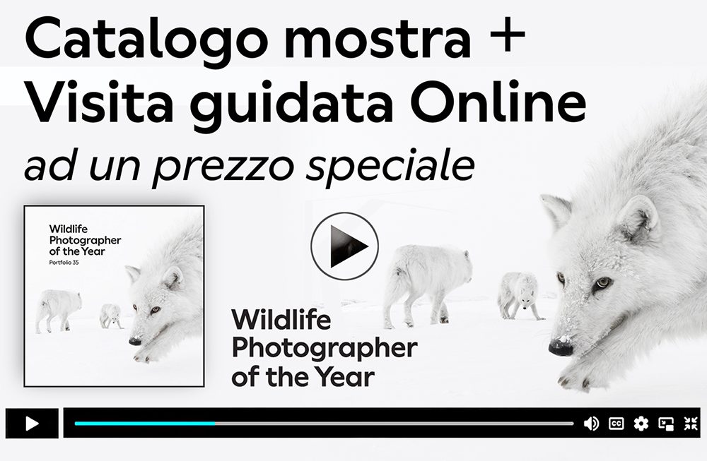 Banner orizzontale Catalogo + Visita guidata 2025-26