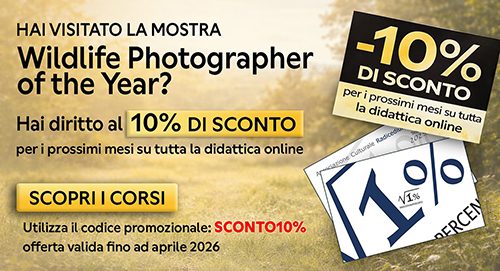 Banner sconto WPY 2025-26 500x271 pixel