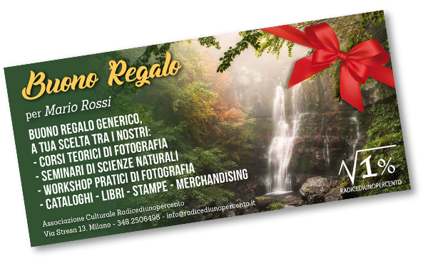 Buono regalo generico 600×370 pixel Buono regalo generico 600x370 pixel