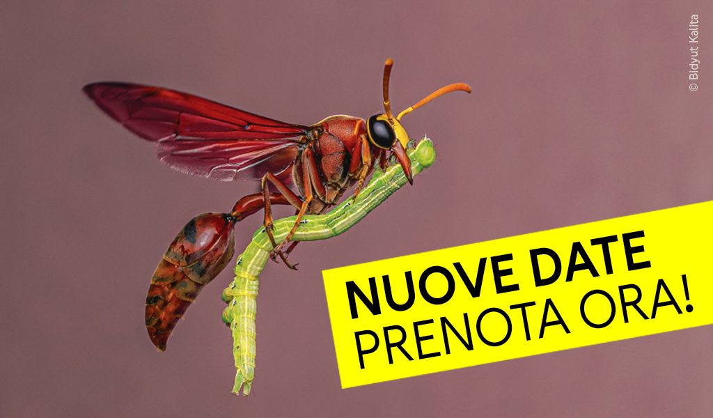 Cover-Homepage-Visita-guidata-1024x600-pixel-NEW-proroga PER HOME PAGE