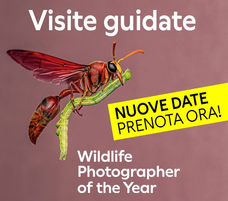 Cover-pagina-Visita-guidata-2025-26-ok-proroga