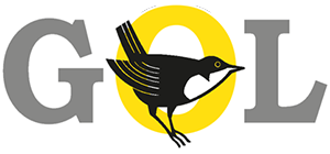 GOL logo 300 pixel