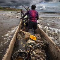 Photojournalist Story Award - Brent Stirton - Deadly cargo