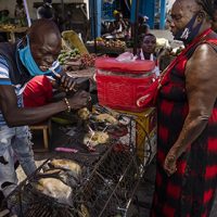 Photojournalist Story Award - Brent Stirton - Point of infection