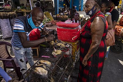 Photojournalist Story Award - Brent Stirton - Point of infection