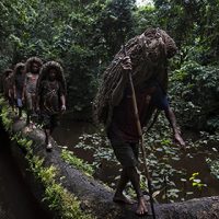 Photojournalist Story Award - Brent Stirton - The forest way