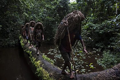 Photojournalist Story Award - Brent Stirton - The forest way