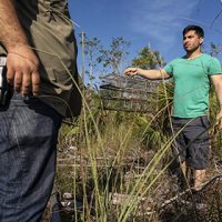 Photojournalist Story Award - Karine Aigner - Caught in a trap