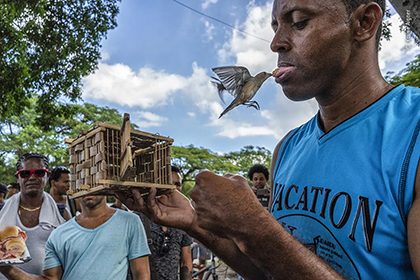 Photojournalist Story Award - Karine Aigner - Trick or tragedy