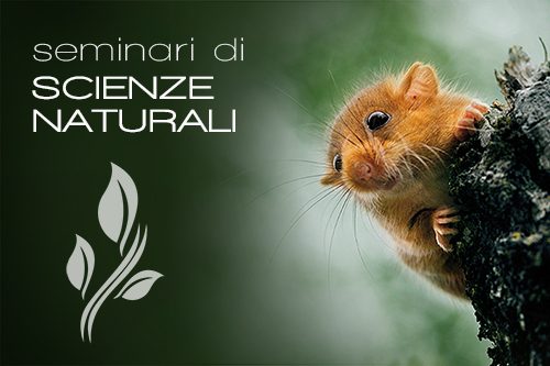 Seminari 500x333 pixel