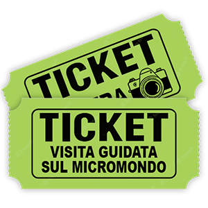 Ticket Visita guidata micromondo-piccolo