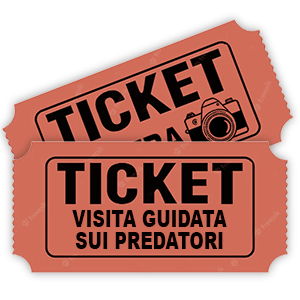Ticket Visita guidata predatori-piccolo