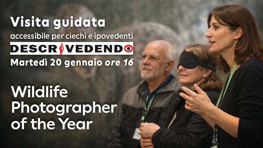 Visita guidata DescriVedendo bis