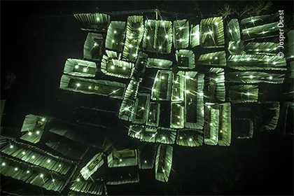 a_swarm_of_traps_420x280