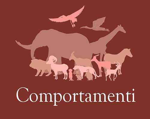 comportamenti