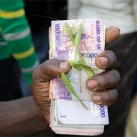 insect_cash_420x280