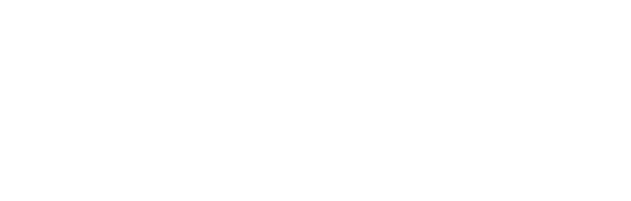 logo wpy bianco 900x288 pixel