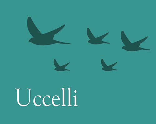 uccelli
